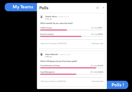 Gather Insights with Engaging Polls